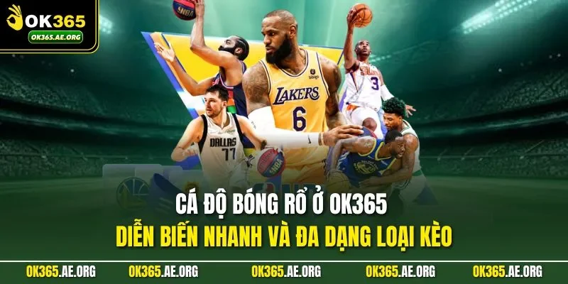 Cá độ bóng rổ tại ok365 com