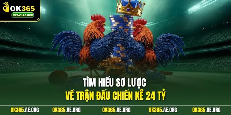 Tìm hiểu sơ lược về trận đấu chiến kê 24 tỷ