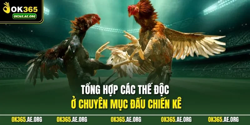 Tổng hợp các thế độc ở chuyên mục đấu chiến kê   